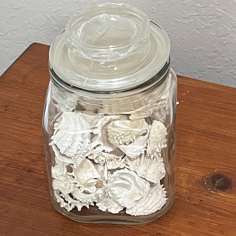 Vintage Fluer de lis Glass Jar with 50 + SpinyJewel BoxSeashells Different sizes